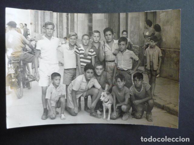 Fotograf&iacute;a antigua: ALICANTE PERRA LUCERA LIBRADA DE LA MUERTE POR NI&Ntilde;OS ANTIGUA FOTOGRAFIA ORIGINAL 1959 12 X 18 CM