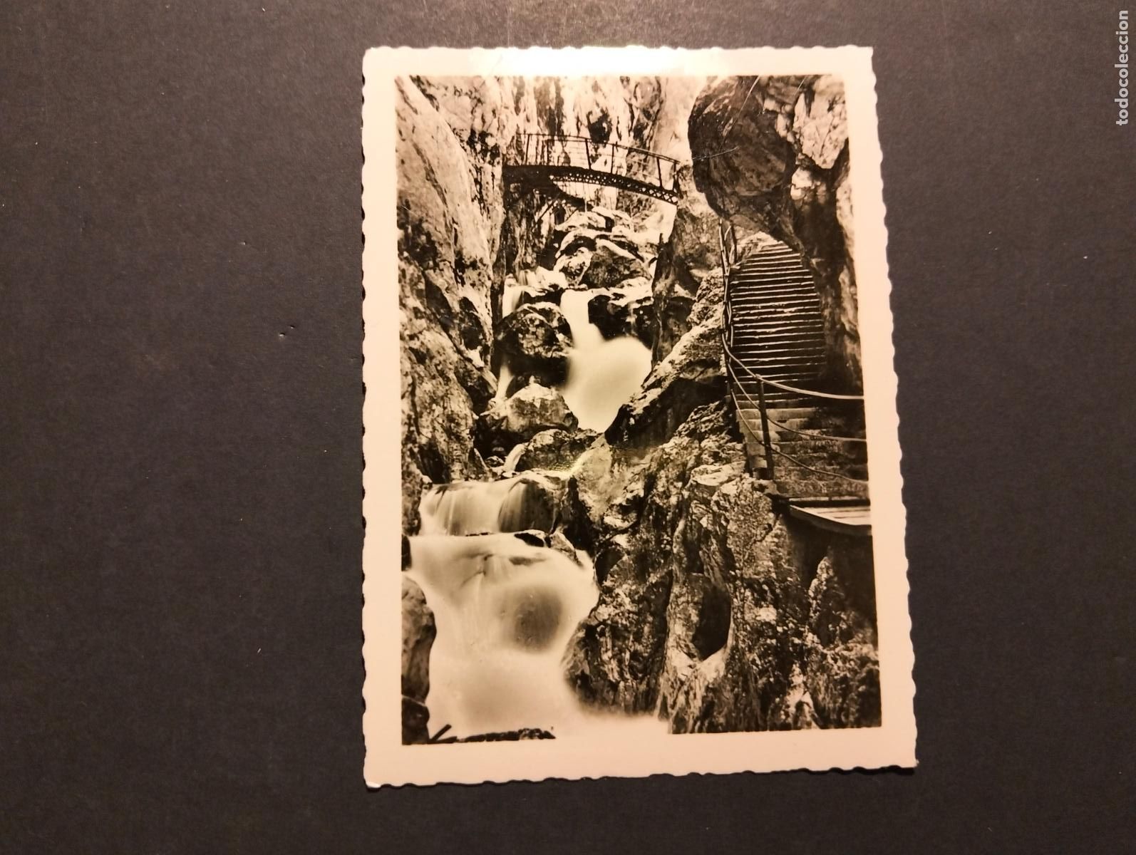 Fotografia antica: SUIZA ANTIGUA FOTOGRAFIA 6,5 X 9 CM
