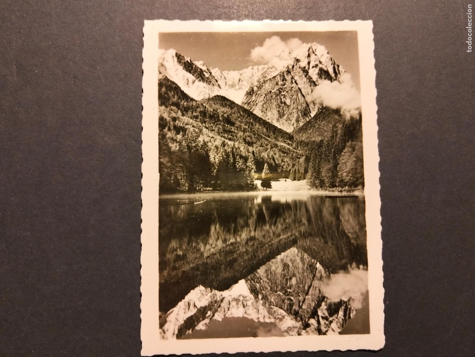 Fotografia antica: SUIZA ANTIGUA FOTOGRAFIA 6,5 X 9 CM