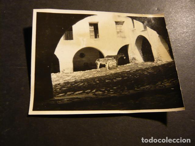 Fotograf&iacute;a antigua: BOHI LERIDA ANTIGUA FOTOGRAFIA 7 X 9 CM