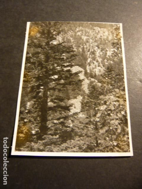 Fotograf&iacute;a antigua: LERIDA PIRINEOS VALLES ANTIGUA FOTOGRAFIA 7 X 9 CM