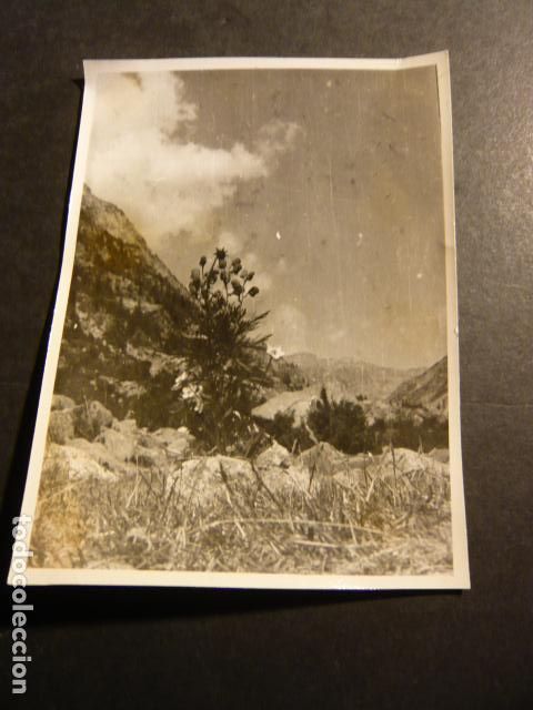 Fotograf&iacute;a antigua: LERIDA PIRINEOS VALLES ANTIGUA FOTOGRAFIA 7 X 9 CM