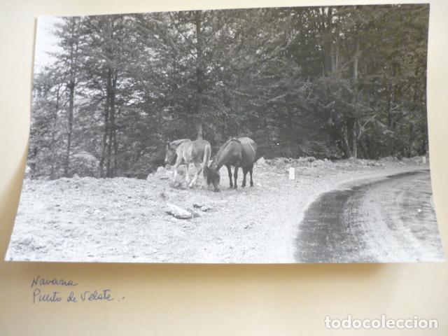 Fotograf&iacute;a antigua: PUERTO DE VELARTE NAVARRA ANTIGUA FOTOGRAFIA 18 X 13 CM