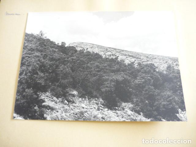 Antique Photography: MUNIAIN NAVARRA ANTIGUA FOTOGRAFIA ORIGINAL 23 X 17 CM