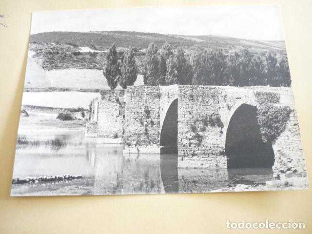 Antique Photography: ASIAIN NAVARRA ANTIGUA FOTOGRAFIA ORIGINAL 24 X 18 CM