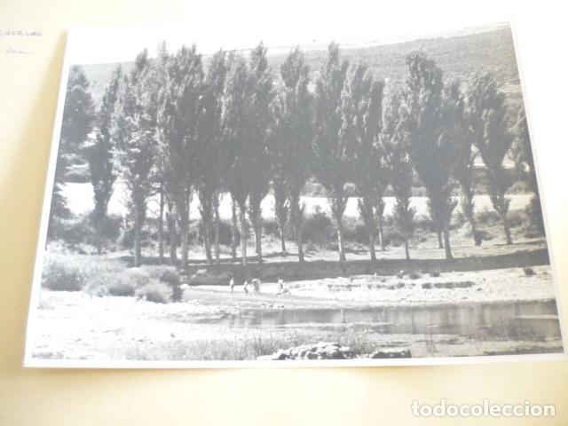 Antique Photography: ASIAIN NAVARRA ANTIGUA FOTOGRAFIA ORIGINAL 24 X 18 CM