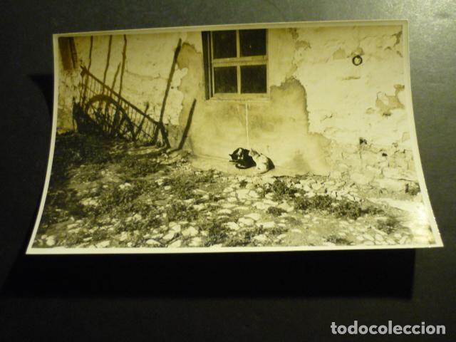 Fotografia antica: UBEDA JAEN ANTIGUA FOTOGRAFIA ORIGINAL 17,5 X 11,5 CM