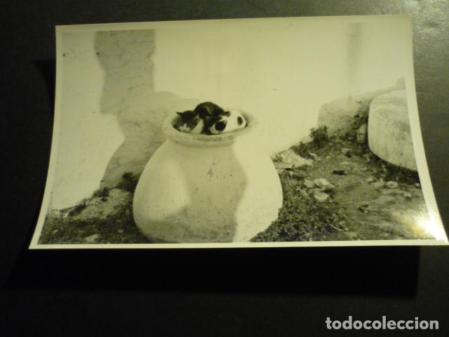 Fotografia antica: UBEDA JAEN ANTIGUA FOTOGRAFIA ORIGINAL 17,5 X 11,5 CM