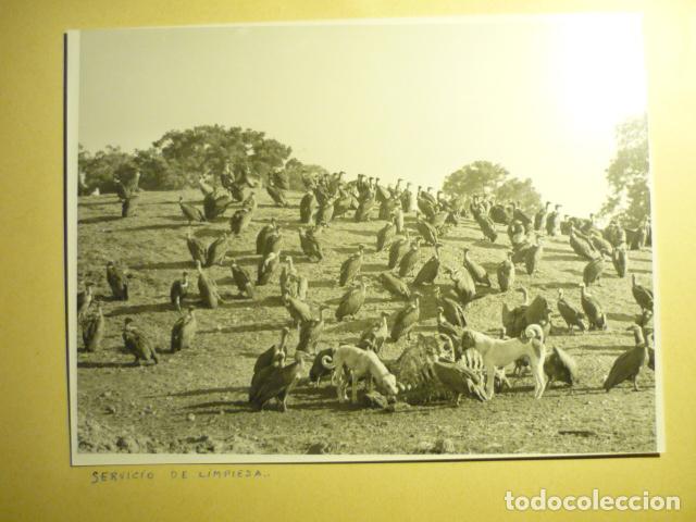 Fotografia antica: INDIA ANTIGUA FOTOGRAFIA ORIGINAL 17,5 X 23,5 CM