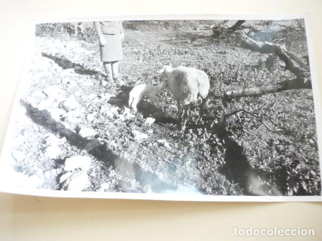 Fotografia antica: UBEDA JAEN ANTIGUA FOTOGRAFIA 12 X 18 CM