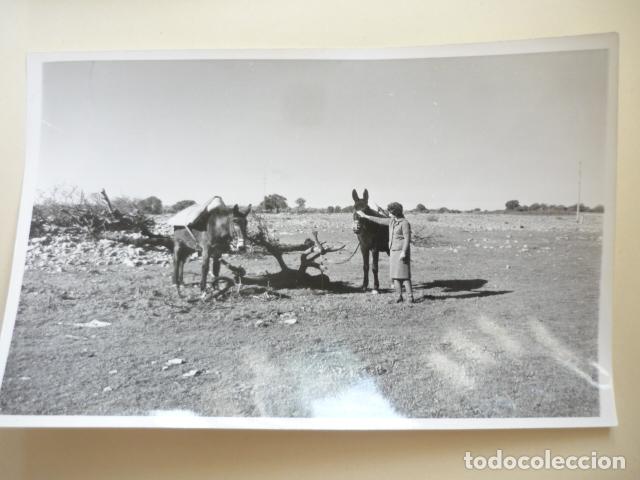 Fotografia antica: TRES PUERTAS UBEDA ANTIGUA FOTOGRAFIA 12 X 18 CM