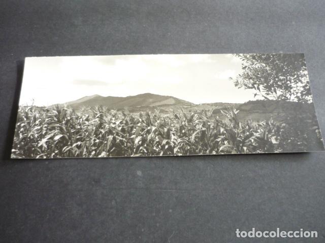 Antique Photography: FUENTERRABIA GUIPUZCOA ANTIGUA FOTOGRAFIA 8 X 23 CM