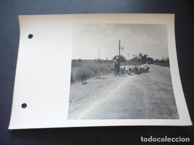 Fotografia antica: BEZIERS FRANCIA ANTIGUA FOTOGRAFIA ORIGINAL DE 1935 13 X 18 CM
