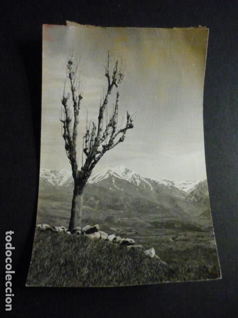 Antique Photography: VALLE DE ARAN LERIDA ANTIGUA FOTOGRAFIA ORIGINAL 14 X 9 CM