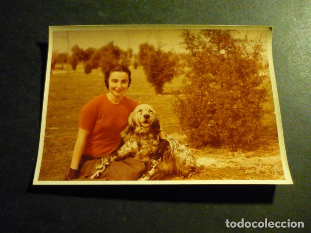 Antique Photography: MUJER CON PERRO ANTIGUA FOTOGRAFIA A&Ntilde;OS 50 7 X 10 CM