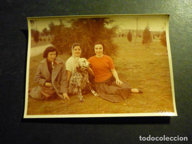 Antique Photography: MUJERES CON PERRO ANTIGUA FOTOGRAFIA A&Ntilde;OS 50 7 X 10 CM