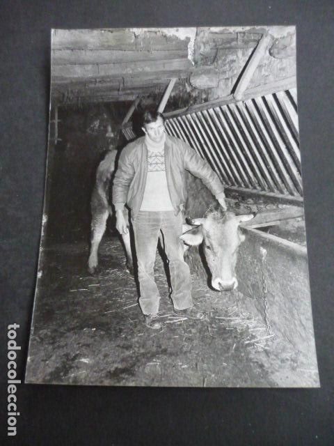 Fotografia antica: PLAN HUESCA GANADERO ANTIGUA FOTOGRAFIA 18 X 12 CM