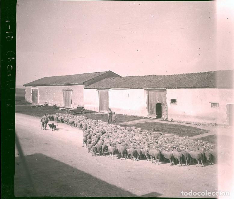Fotograf&iacute;a antigua: PRIMERA GUERRA MUNDIAL MILITARES COCHES LOTE DE 4 NEGATIVOS TAMA&Ntilde;O 8.5 X 11.5 CM.