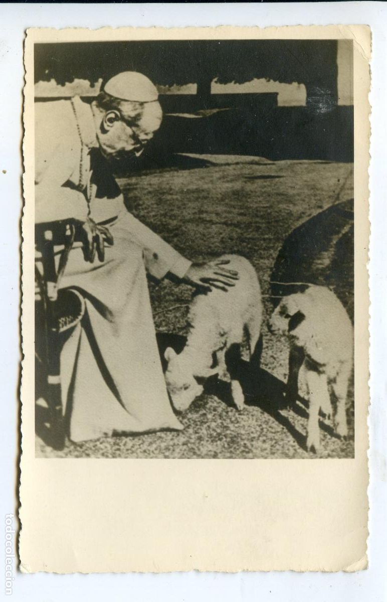 Fotograf&iacute;a antigua: El Papa P&iacute;o XII descansando en Castelgandolfo, fotograf&iacute;a tama&ntilde;o postal antigua reverso sin imprimir