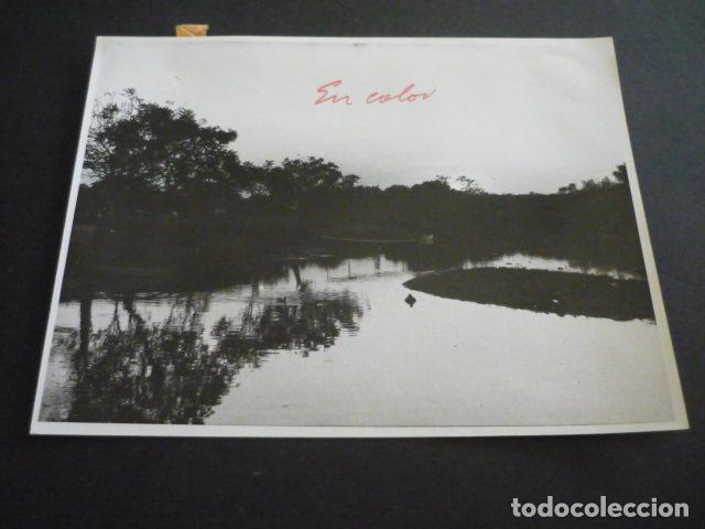 Antique Photography: GUATEMALA PAISAJE DE LA COSTA ANTIGUA FOTOGRAFIA 18 X 24 CM