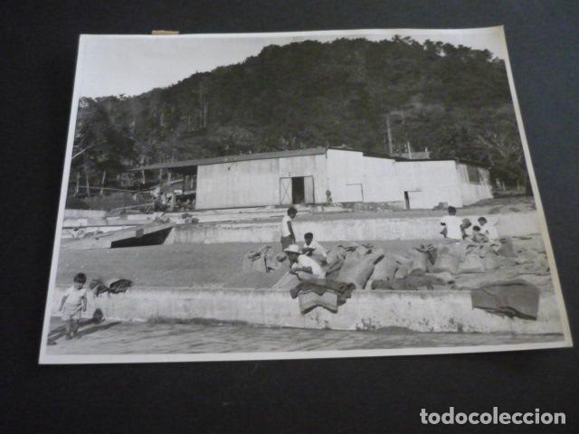Fotograf&iacute;a antigua: GUATEMALA SECADO DEL CAFE ANTIGUA FOTOGRAFIA 18 X 24 CM