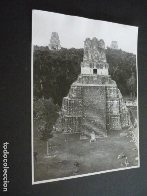 Fotograf&iacute;a antigua: GUATEMALA EL GRAN JAGUAR ANTIGUA FOTOGRAFIA 18 X 24 CM
