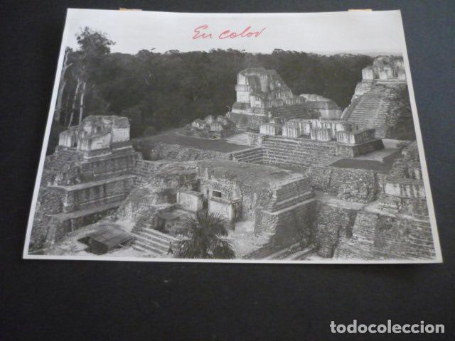 Antique Photography: GUATEMALA VISTA DE TIKAL ANTIGUA FOTOGRAFIA 18 X 24 CM