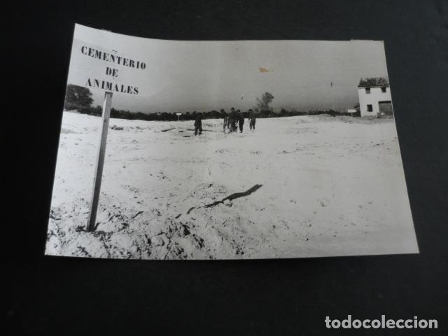 Photographie ancienne: VALENCIA INUNDACIONES ANTIGUA FOTOGRAFIA 13 X 18 CM