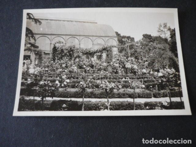 Fotografia antiga: MADRID ROSALEDA DEL RETIRO ANTIGUA FOTOGRAFIA 6 X 9 CM