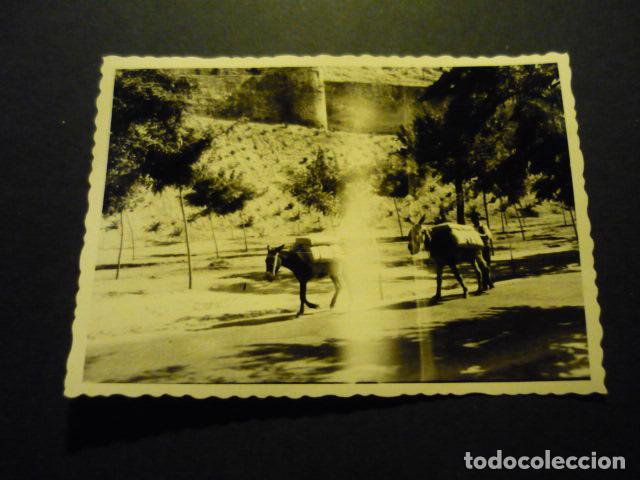 Photographie ancienne: TOLEDO ANTIGUA FOTOGRAFIA 7,5 X 10,5 CM