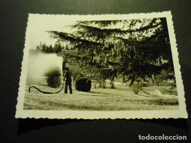 Antique Photography: MADRID PARQUE DEL OESTE ANTIGUA FOTOGRAFIA 7,5 X 10,5 CM