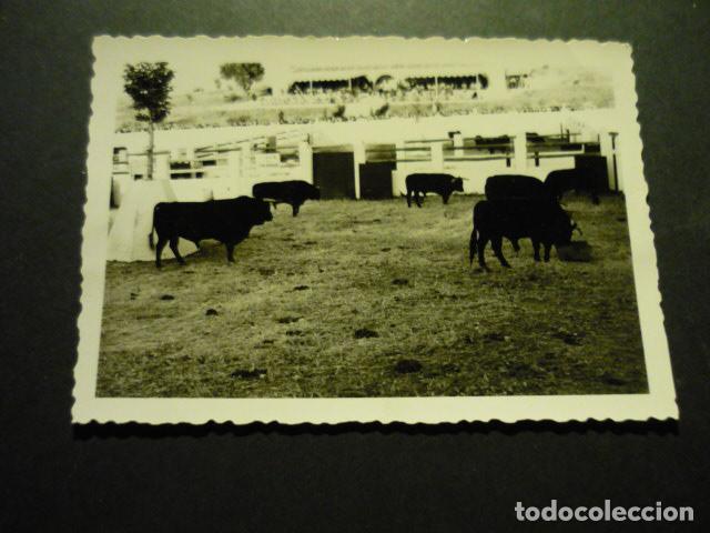 Alte Fotografie: MADRID EL BATAN CASA DE CAMPO ANTIGUA FOTOGRAFIA 7,5 X 10,5 CM