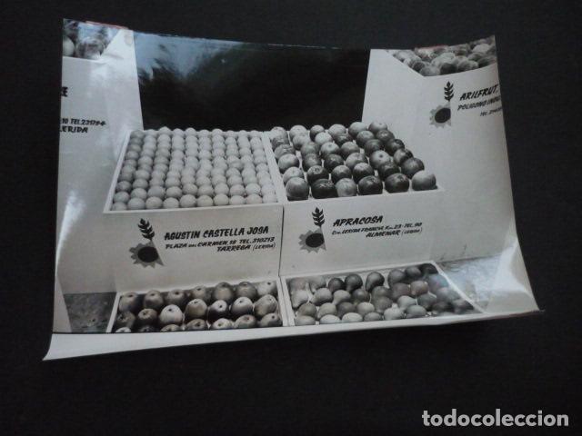 Alte Fotografie: MADRID CASA DEL CAMPO I FERIA INTERNACIONAL ALIMENTACION AIDA 1969 ANTIGUA FOTOGRAFIA 17 X 23 CM