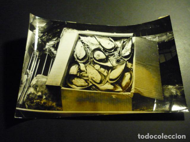 Antique Photography: MADRID CASA DEL CAMPO I FERIA INTERNACIONAL ALIMENTACION AIDA 1969 ANTIGUA FOTOGRAFIA 17 X 23 CM