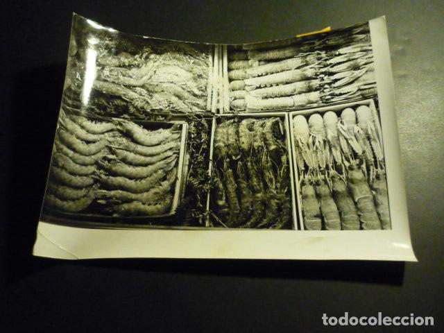 Photographie ancienne: MADRID CASA DEL CAMPO I FERIA INTERNACIONAL ALIMENTACION AIDA 1969 ANTIGUA FOTOGRAFIA 17 X 23 CM