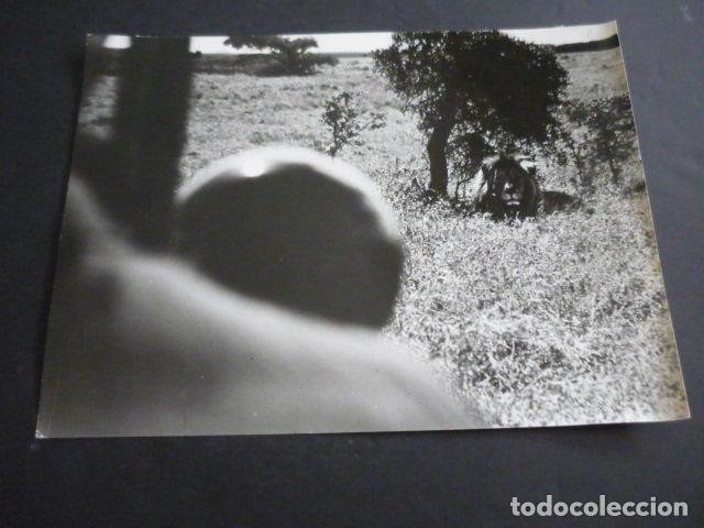 Antique Photography: RALLYE SAFARI KENIA UGANDA Y TANGANICA AUTOMOVILISMO 1965 ANTIGUA FOTOGRAFIA 18 X 24 CM