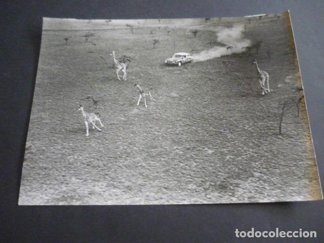 Antique Photography: RALLYE SAFARI KENIA UGANDA Y TANGANICA AUTOMOVILISMO 1965 ANTIGUA FOTOGRAFIA 18 X 24 CM