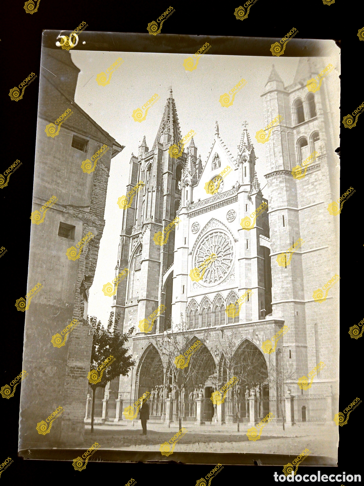 Fotograf&iacute;a antigua: Placa cristal en negativo Le&oacute;n Catedral sobre el 1900