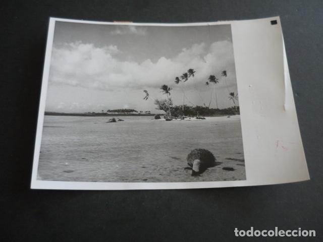 Fotograf&iacute;a antigua: TAHITI ISLA DE TETIAROA PROPIEDAD DE MARLON BRANDO ANTIGUA FOTOGRAFIA 13 X 18 CM