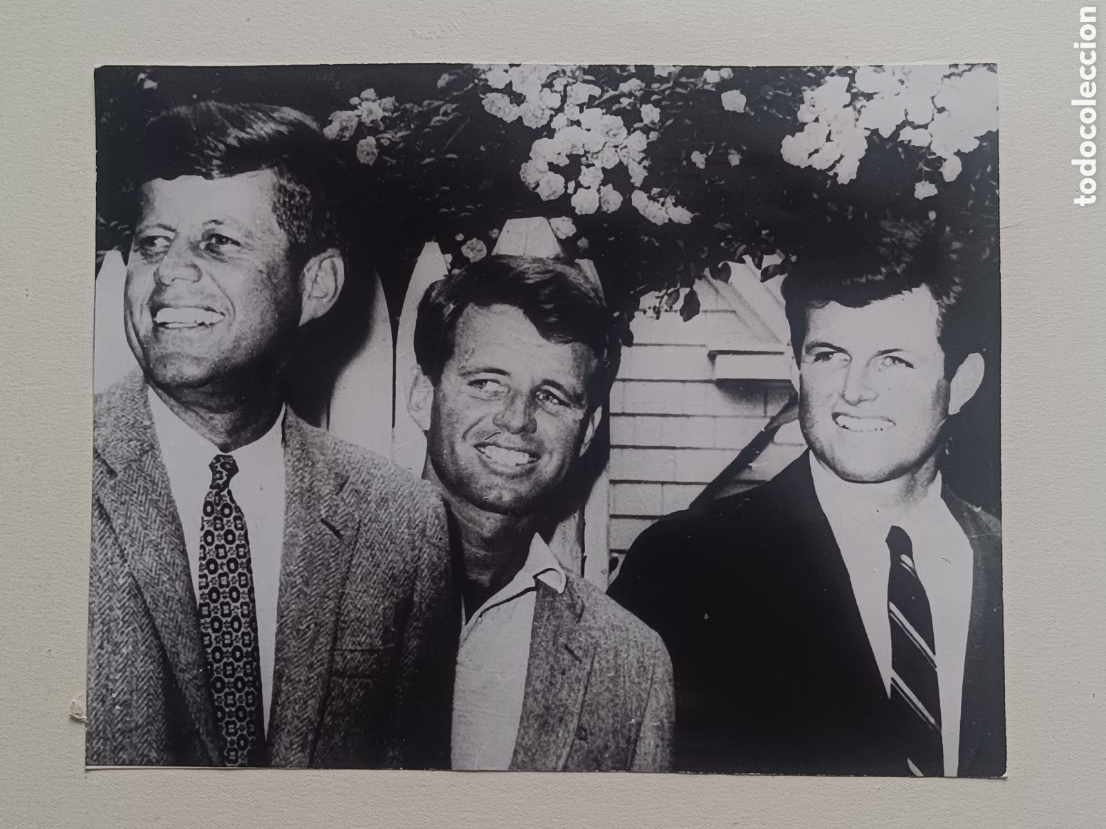 Fotograf&iacute;a antigua: FOTOGRAF&Iacute;A ORIGINAL HERMANOS KENNEDY JOHN F., ROBERT, EDWARD. SELLO DIARIO FEMENINO PUBLICADA 1969