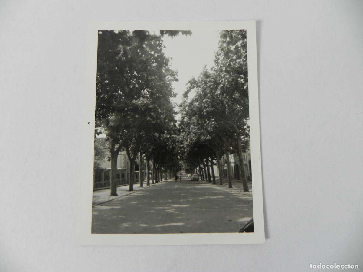 Fotograf&iacute;a antigua: Antigua Fotograf&iacute;a - Avenida con Gran Arboleda y Coche Cl&aacute;sico - Urbanismo a&ntilde;os 70/80