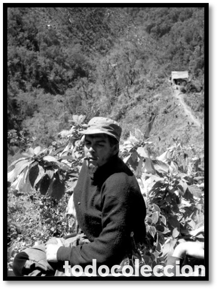 Fotograf&iacute;a antigua: Fotograf&iacute;a de CH&Eacute; GEVARA , en Sierra Maestra , durante la Revolucion Cubana.