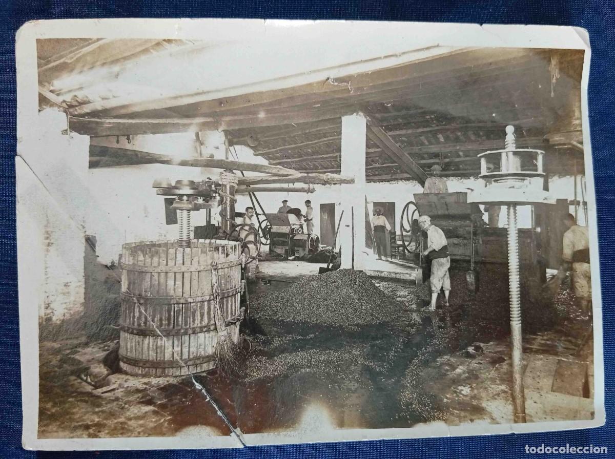 Fotograf&iacute;a antigua: FOTOGRAF&Iacute;A CON TRABAJADORES EN ALMAZARA. FOTOGRAF&Iacute;A DE ALEJANDRO MERLETTI. S/F.