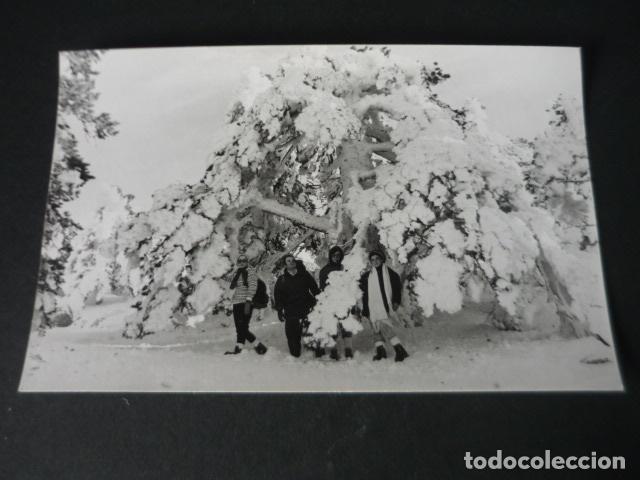 Fotograf&iacute;a antigua: PUERTO DE NAVACERRADA MADRID EXCURSIONISTAS MONTA&Ntilde;ISMO ANTIGUA FOTOGRAF&Iacute;A TAMA&Ntilde;O POSTAL