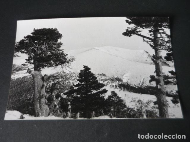 Fotografia antiga: PUERTO DE NAVACERRADA MADRID EXCURSIONISTAS MONTA&Ntilde;ISMO ANTIGUA FOTOGRAF&Iacute;A TAMA&Ntilde;O POSTAL