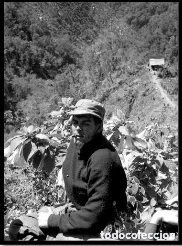 Fotograf&iacute;a antigua: Ch&eacute; Guevara en Sierra Maestra de 1957. Tama&ntilde;o 50X60