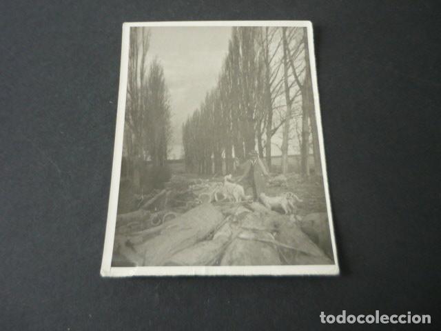 Antique Photography: LOGRO&Ntilde;O HOMBRE CON PERROS ANTIGUA FOTOGRAF&Iacute;A 9 X 12 CM