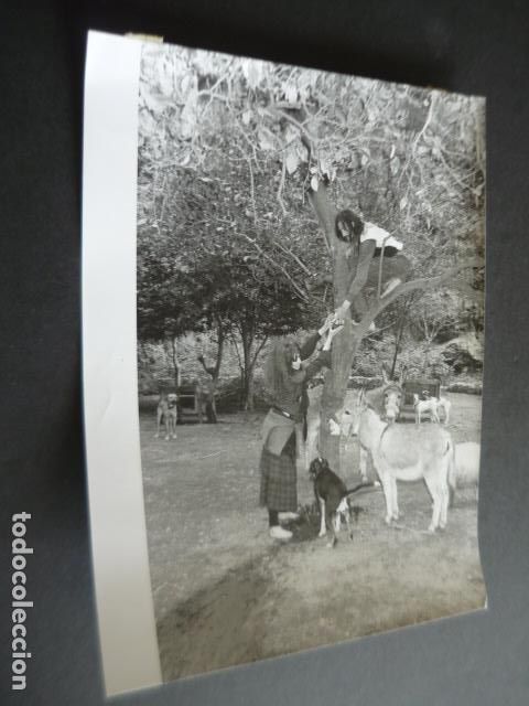 Photographie ancienne: RUDDY RAPPOLD PINTOR ANTIGUA FOTOGRAFIA ORIGINAL 18 X 24 CM