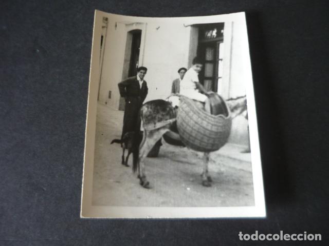 Fotografia antiga: ILLESCAS TOLEDO NI&Ntilde;O EN BURRO ANTIGUA FOTOGRAFIA 7 X 8,5 CM