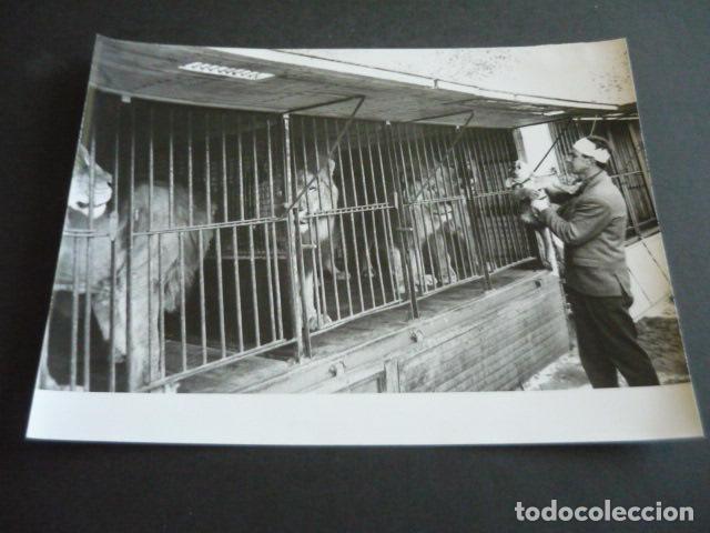 Antique Photography: MADRID RODAJE PELICULA EL FABULOSO MUNDO DEL CIRCO ANTIGUA FOTOGRAFIA ORIGINAL 18 X 24 CM